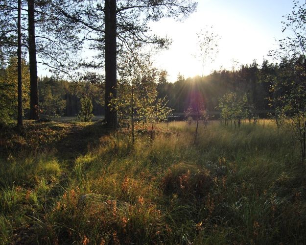 Lounais-Hämeen Pirtti sali